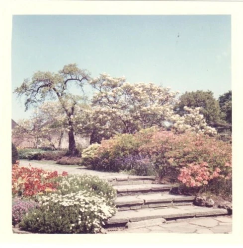 Draw your own ‘Flowers at Hill Garden’ by Victor Inman (1964)
